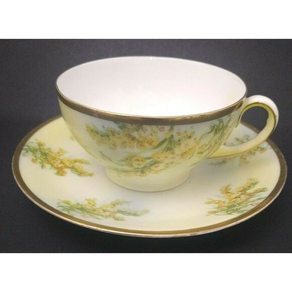 P.T. Tirschenreuth Bavaria Hand Painted Teacup and Saucer - Picture 1 of 7